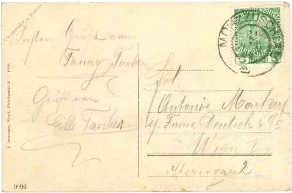 mürzzuschlag, panorama vom kaiserstein aus