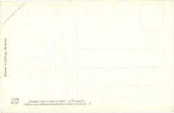 dame am feld, gedicht dame am feld, gedicht