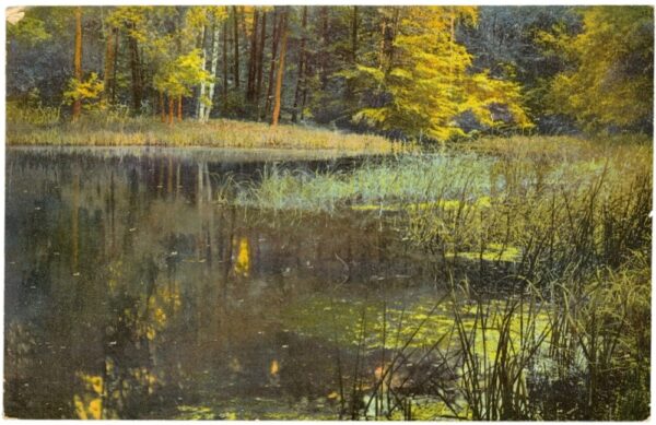 am ufer des sees am ufer des sees