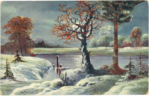 verschneiter teich mit bach