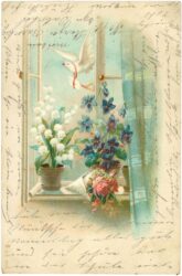 blumen am fenster mit brieftaube