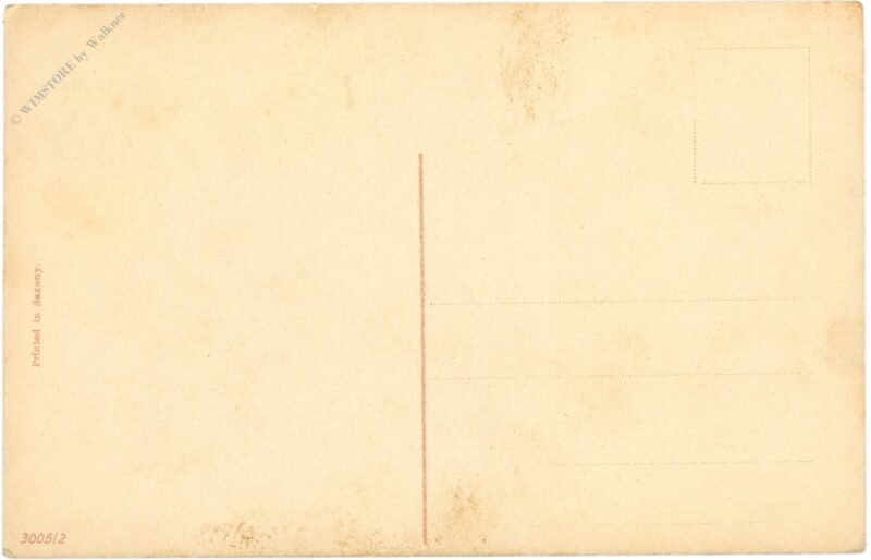 schäfer mit herde und hund