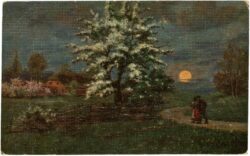 eilers, wilh.: sommerabend