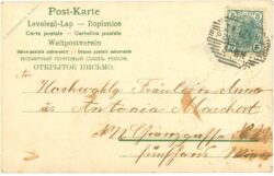 neujahr, fliegenpilz und zwerge