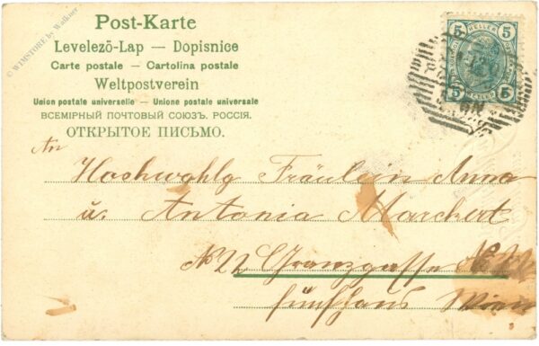 neujahr, fliegenpilz und zwerge