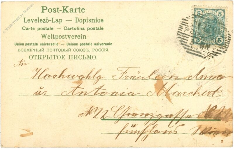 neujahr, fliegenpilz und zwerge