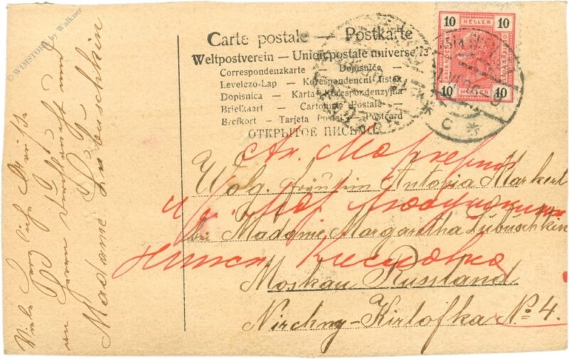 namenstag, mädchen mit schwein und hochstammrose