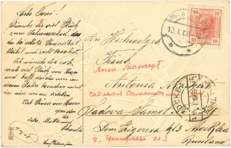 neujahr, engerl verteilen glück