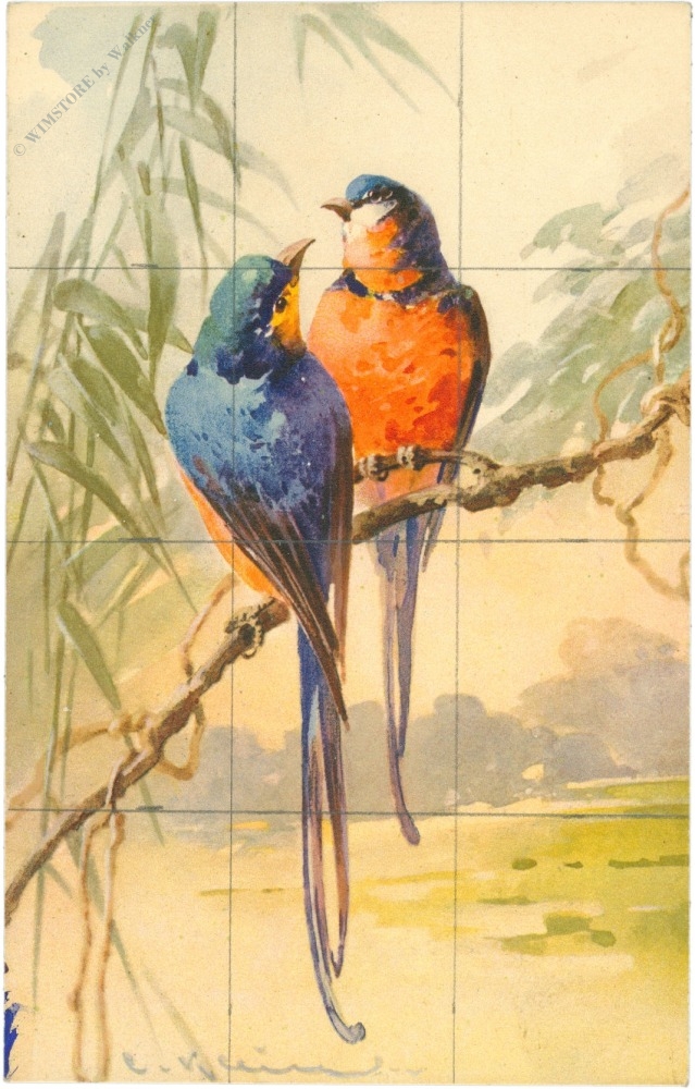 rauchschwalben (ch. klein) rauchschwalben (ch. klein)