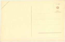 zwei papageien zwei papageien