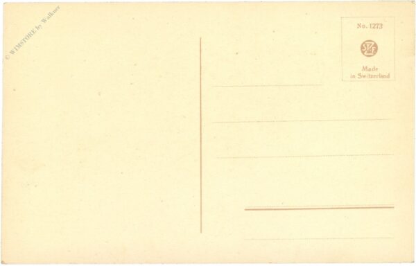 zwei papageien zwei papageien