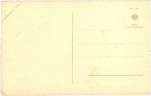 englische bulldogge englische bulldogge