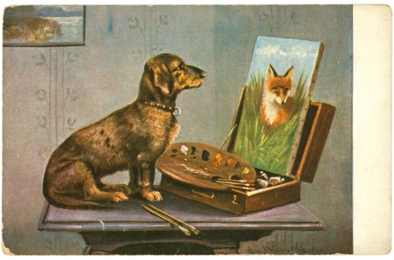 rauhhaardackel rauhhaardackel