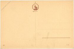 katze mit jungen katze mit jungen