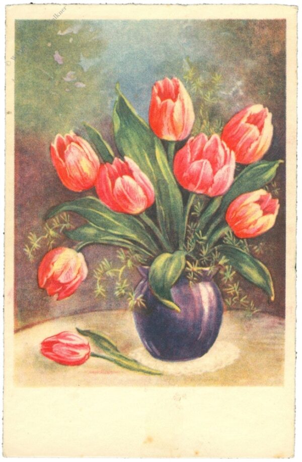 tulpen in vase