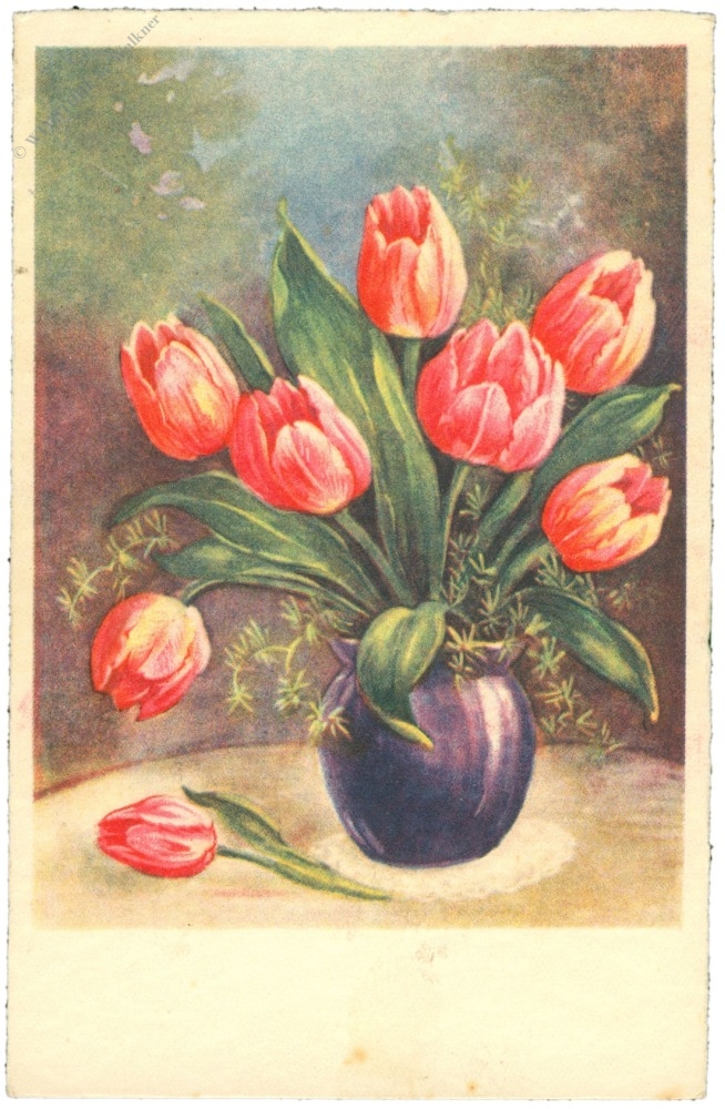 tulpen in vase