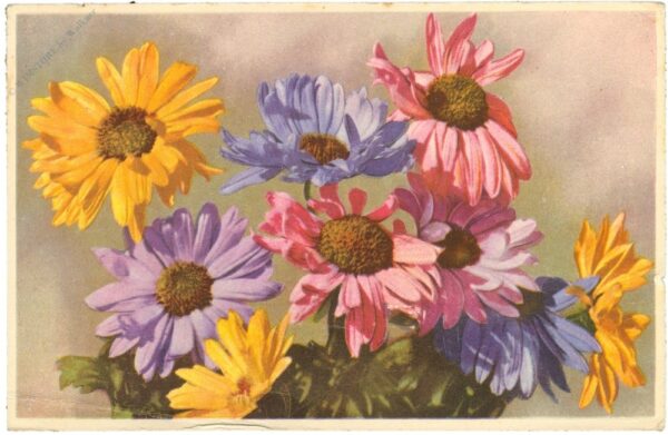 blumen