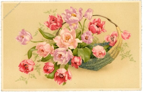 blumenkorb