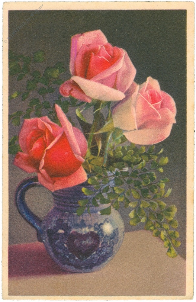 rosen im krug rosen im krug