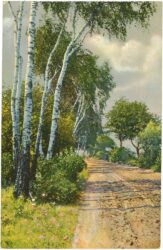 birkenweg