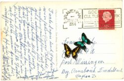 den haag, kopernikusstrasse