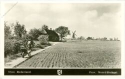 brabant, frühling brabant, frühling