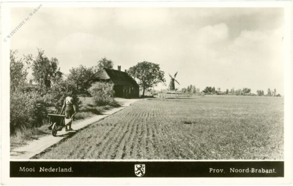 brabant, frühling brabant, frühling