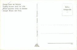 brabant, ansicht