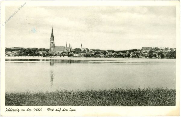 schleswig an der schlei, blick auf den dom