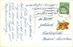 schleswig an der schlei, blick auf den dom