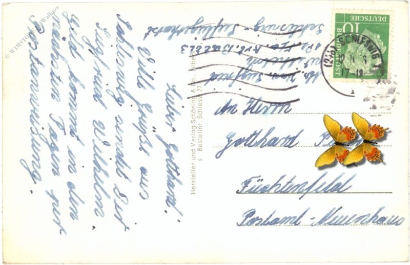 schleswig an der schlei, blick auf den dom