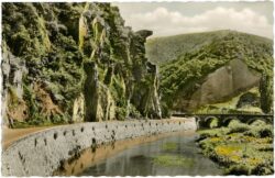 ahrtal, bunte kuh ahrtal, bunte kuh