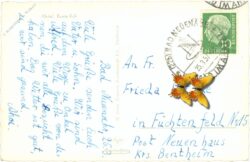 ahrtal, bunte kuh ahrtal, bunte kuh