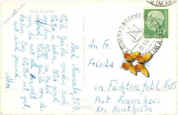 ahrtal, bunte kuh ahrtal, bunte kuh
