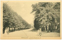 hannover, herrenhäuser allee