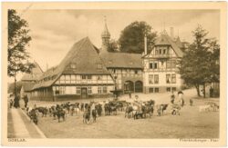 goslar, frankenberger plan