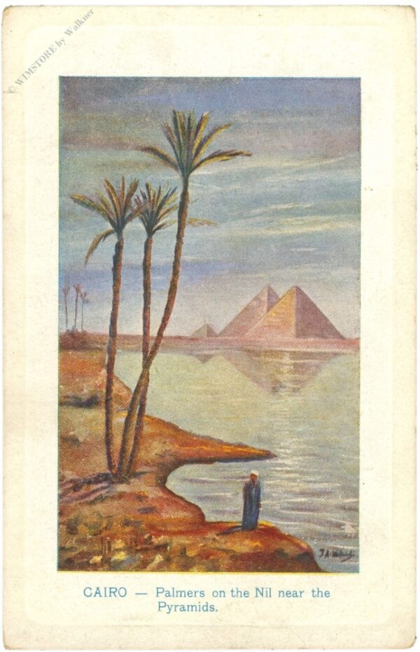 cairo, palmen am nil in der nähe der pyramiden