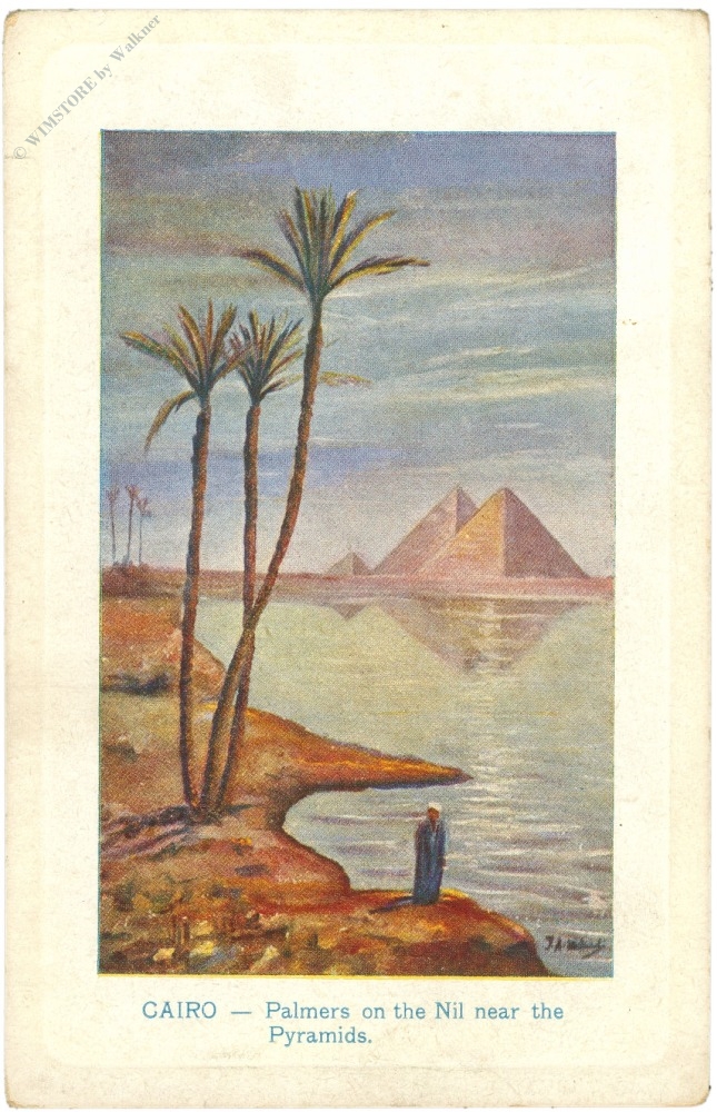 cairo, palmen am nil in der nähe der pyramiden