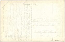 cairo, palmen am nil in der nähe der pyramiden