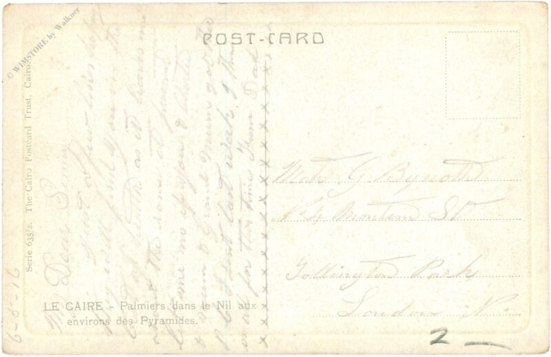 cairo, palmen am nil in der nähe der pyramiden