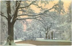 parklandschaft
