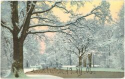 winterlandschaft winterlandschaft
