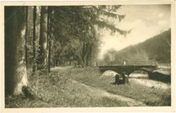 georgenthal, partie an der pflegebrücke