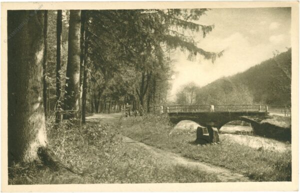 georgenthal, partie an der pflegebrücke