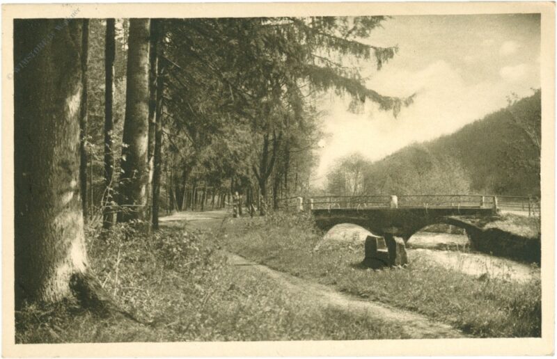 georgenthal, partie an der pflegebrücke georgenthal, partie an der pflegebrücke