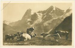 eiger, mönch eiger, mönch