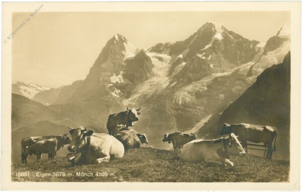 eiger, mönch eiger, mönch
