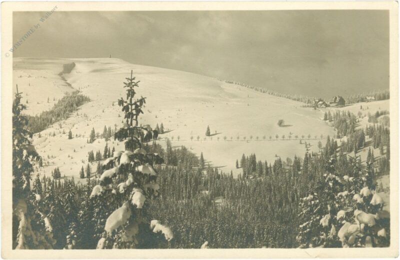 feldberg im schwarzwald, feidbergerhof, seebuck feldberg im schwarzwald, feidbergerhof, seebuck