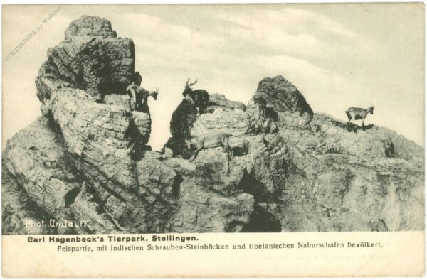 hamburg, carl hagenbeck's tierpark, stellingen