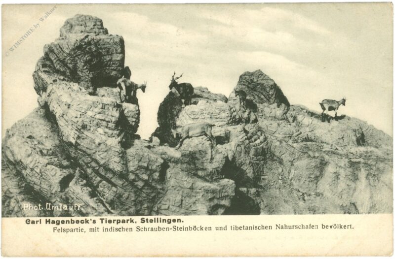 hamburg, carl hagenbeck's tierpark, stellingen hamburg, carl hagenbeck's tierpark, stellingen